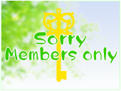 w@k12@\FSSغݸذđLʐ:88.99 ( 26.91 )@